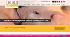 Desktop Screenshot of feijendalfsen.nl